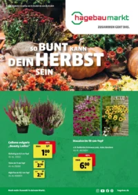 Hagebaumarkt Prospekt Cover